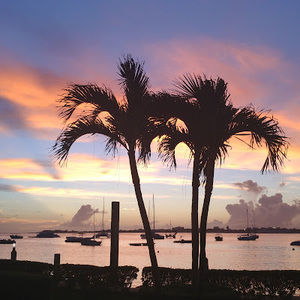 Meet your Posher, Jen